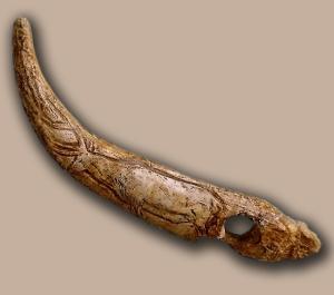 Bastón perforado adornado con el grabado de un ciervo hallado en la cueva de El Castillo 