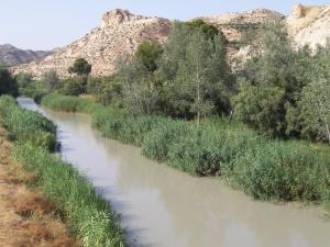 El río Segura a su paso por las cercanías de Archena 