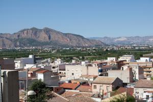 Vista de la localidad y de la Vega Baja del Segura.