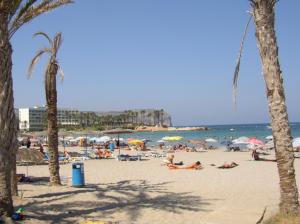 Playa del Arenal