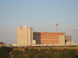 Industria harinera en el municipio