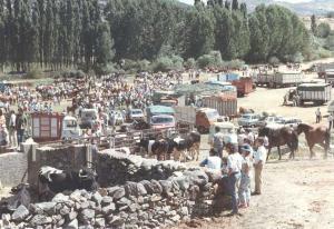 Feria de ganado en La Nava, 13 de julio de 1986.