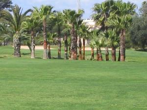 Campo de Golf Poniente, junto a la urbanización Son Ferrer. Se compone de 18 hoyos par 72 y 6430 m2 entre pinos, olivos y flora mediterránea. Contiene también siete lagos y numerosos búnkeres.