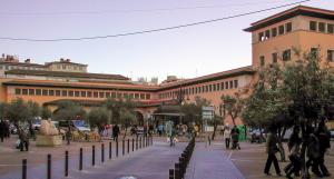 El mercado del Olivar es la principal plaza de abastos