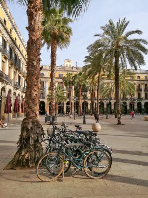 Bicicletas en la Plaza Real 