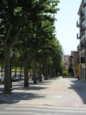 La Riera, una calle destacada