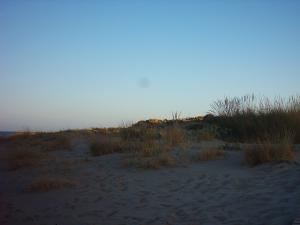 Zona de dunas junto a la playa del Carregador