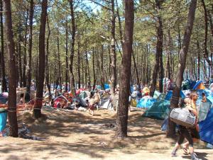 Zona de acampada en el pinar de la playa de Ortigueira