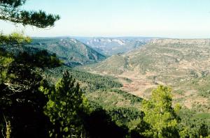 Valle del río Escabas