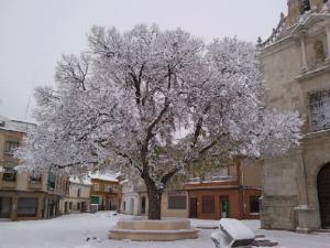 Olma de Honrubia nevada en diciembre de 2009