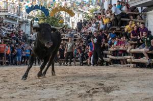Festividad de Los Toros de Castril 
