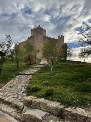 Castillo-fortaleza en el límite entre Castilla y Aragón.