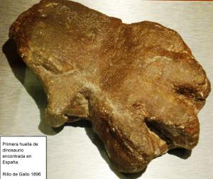 Primera huella de dinosaurio encontrada en España, en Rillo de Gallo 1896. Colección de Paleontología de Vertebrados y de Prehistoria, MNCN