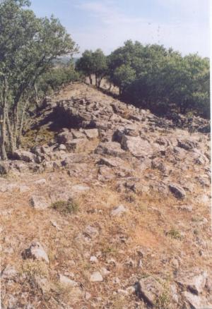 Vista de los restos de la muralla del castro de Castilviejo de Guijosa