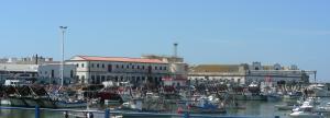 Muelle Marina y las fábricas de salazones de principios del siglo XX desde el puente Infanta Cristina.