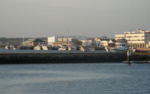 Vista general del muelle Martínez Catena y los edificios de la lonja desde el puerto deportivo.