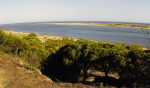 Paraje Natural Marismas del Río Piedras y Flecha de Nueva Umbría, vista desde el litoral.