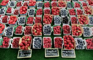 Fresas y otras berries.