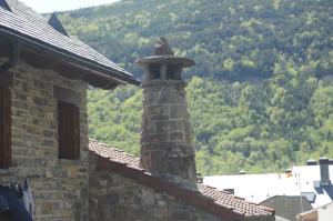 Chimenea típica del Pirineo