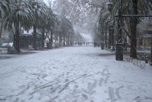 Paseo de Linarejos cubierto de nieve en 2010. Las nevadas son muy poco frecuentes en Linares.