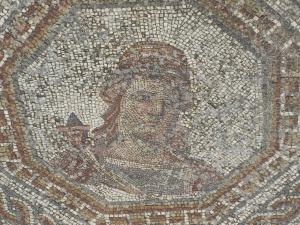 Mosaico. Villa romana de Bruñel.
  