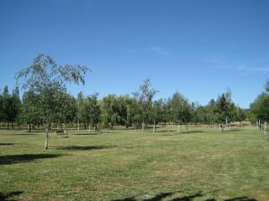 Vista parcial del parque de la Eragudina