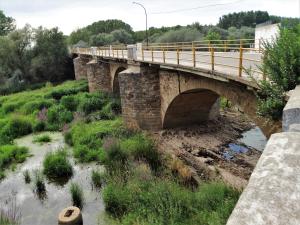Puente sobre el río Órbigo