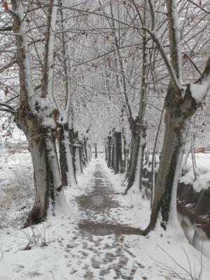 Parque de la Banqueta nevado