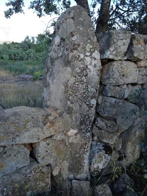 Cercas de Ávila, muestra del trabajo realizado en las cercas de piedra de Alpedrete.