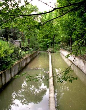 El arroyo Meaques, uno de los principales cauces que atraviesan el término municipal de Pozuelo de Alarcón.
