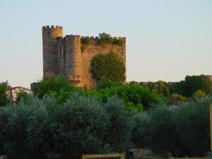 Vista del castillo de la Coracera