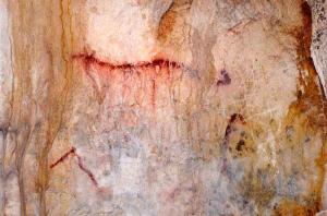  Pintura de bóvido acéfalo. Cueva del Toro 