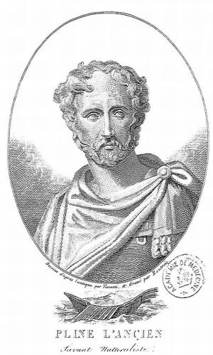 El naturalista y militar romano Plinio el Viejo, estudioso de la Hispania y de las Fuentes Tamáricas.