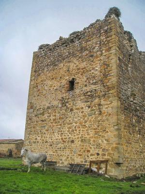 Torreón de Tamames, erigido en el siglo X por Ramiro II de León 