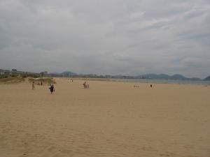 La Playa de La Salvé.