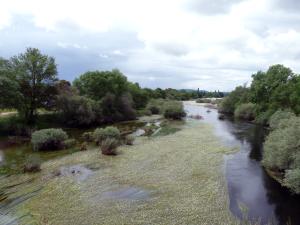 Vista del río Tiétar desde la carretera AV-920/CM-5100; el río marca el límite entre Pedro Bernardo y Buenaventura y las provincias de Ávila y Toledo