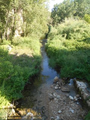 Río Buñol a su paso por la localidad.