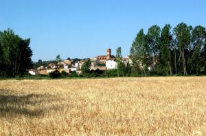 Vista parcial de Torrebaja (Valencia), desde El Reguero, con detalle de cultivo de cereal, año 2004.