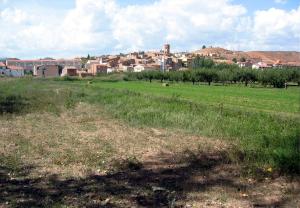 Vista general de Torrebaja (Valencia), desde «El Rento», con detalle de cultivos, año 2015.
