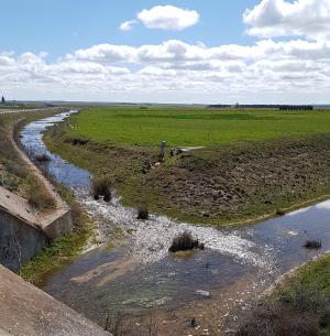 Desembocadura del río Viejo en el río Zapardiel (Salvador de Zapardiel)