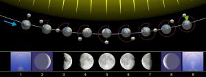 Fases de la Luna vistas desde el hemisferio norte (desde el hemisferio sur su orden es inverso).