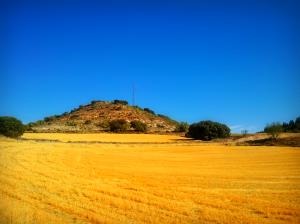 Campo de trigo en La Alcarria 