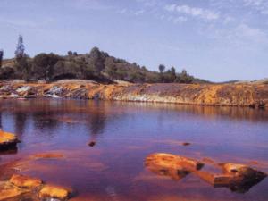 El Río Tinto, característico por sus aguas rojas a causa de los minerales de la franja pirítica y la acción de diferentes microorganismos