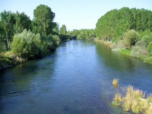 El río Esla a su paso por Gradefes 